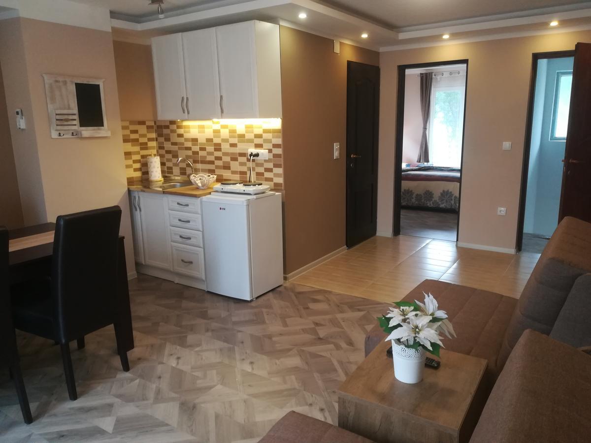 Apartman Bogic Golubac Extérieur photo
